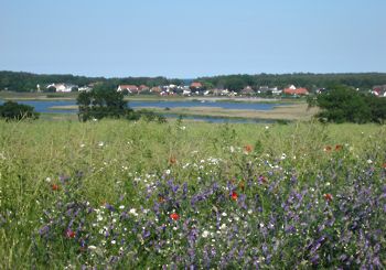 Baabe von der Bek aus