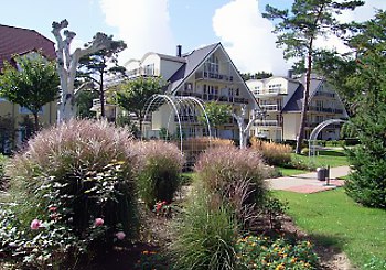 Kurpark im Ostseebad Baabe 