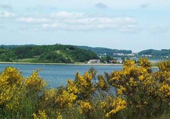 Blick auf Having und Selliner See