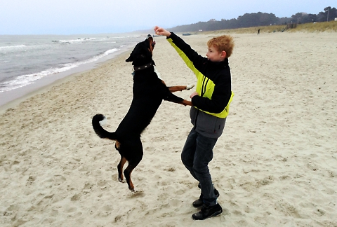 Spass mit dem Hund auf Rügen